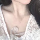 ˵DHɮ